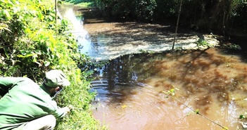 Lâm Đồng đã xử lý ô nhiễm suối Đạ Gùi