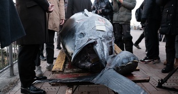 Một con cá ngừ trị giá 6 tỷ đồng được bán bởi một người bán cá Toyosu ở Nhật Bản với ý định "hồi sinh".