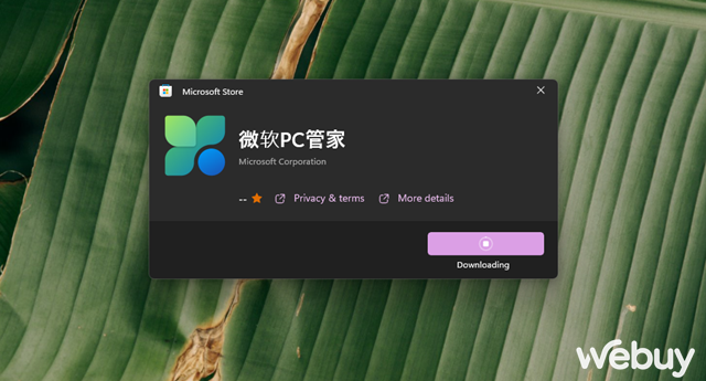 Cách tải và dùng thử PC Manager, ứng dụng quản lý và dọn dẹp hệ thống của Microsoft dành cho Windows 11 - Ảnh 5.