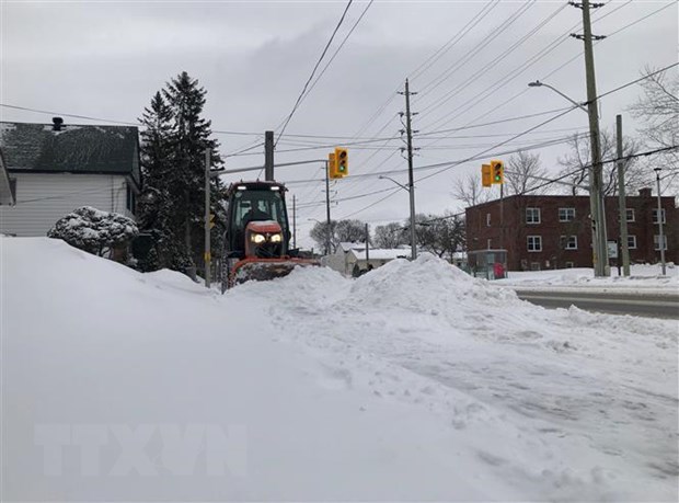 Canada: Tuyết rơi dày tới 15 cm cản trở giao thông ở thủ đô Ottawa