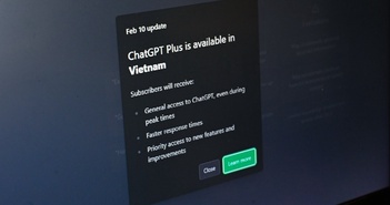 Ở Việt Nam, khách hàng có thể mua Gói ChatGPT Plus với giá chỉ từ 8 đô la đến 10 đô la.