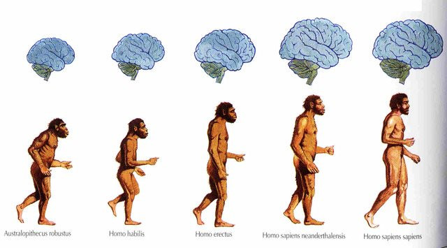 Vì sao loài người đang tiến hóa sinh học để sống lâu hơn 100 tuổi?