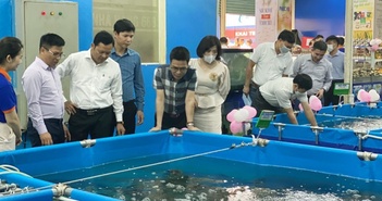 Mô hình hợp tác hỗ trợ nông dân xây dựng thương hiệu cho hải sản Việt Mô hình hợp tác hỗ trợ nông dân xây dựng thương hiệu cho hải sản Việt
