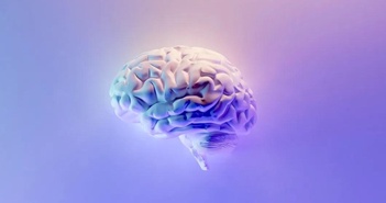AI có tri giác hay tình cảm không? AI có tri giác hay tình cảm không?