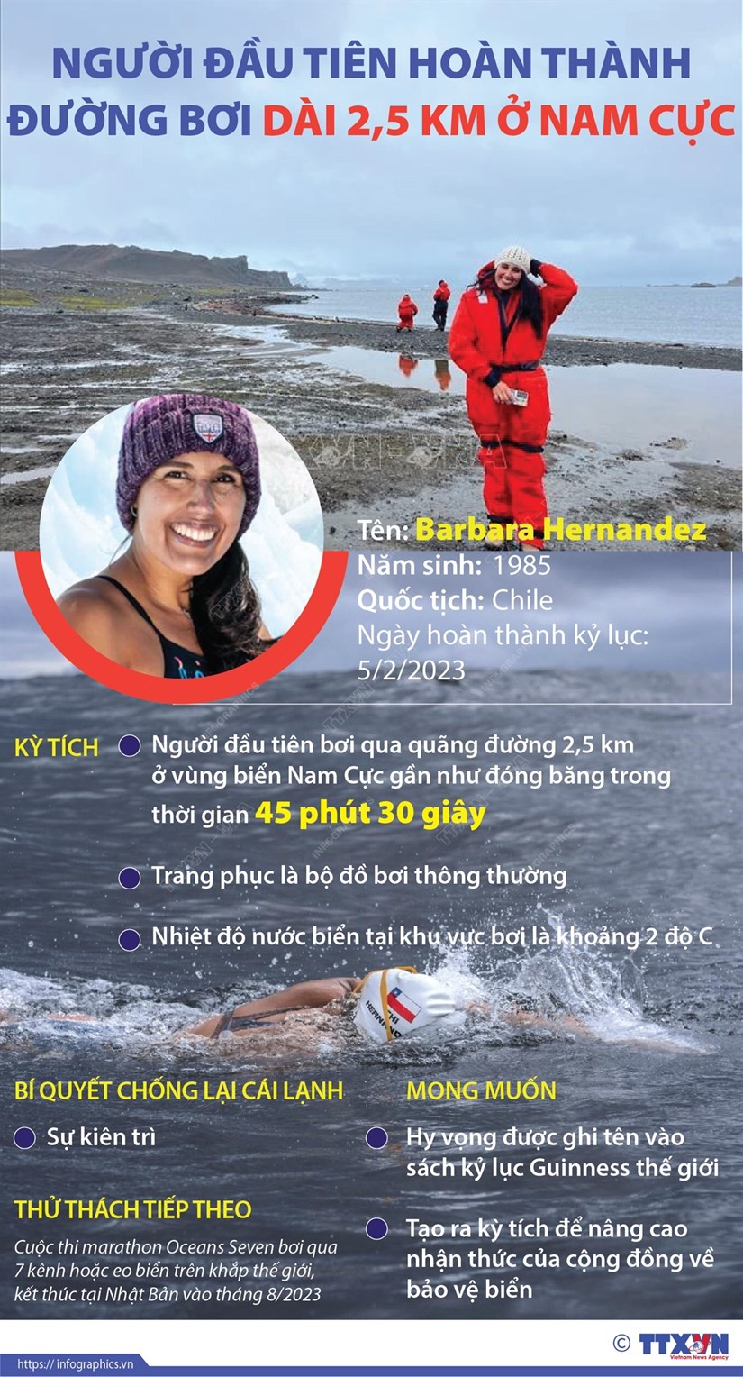 Hernandez - Người đầu tiên hoàn thành đường bơi 2,5 km ở Nam Cực