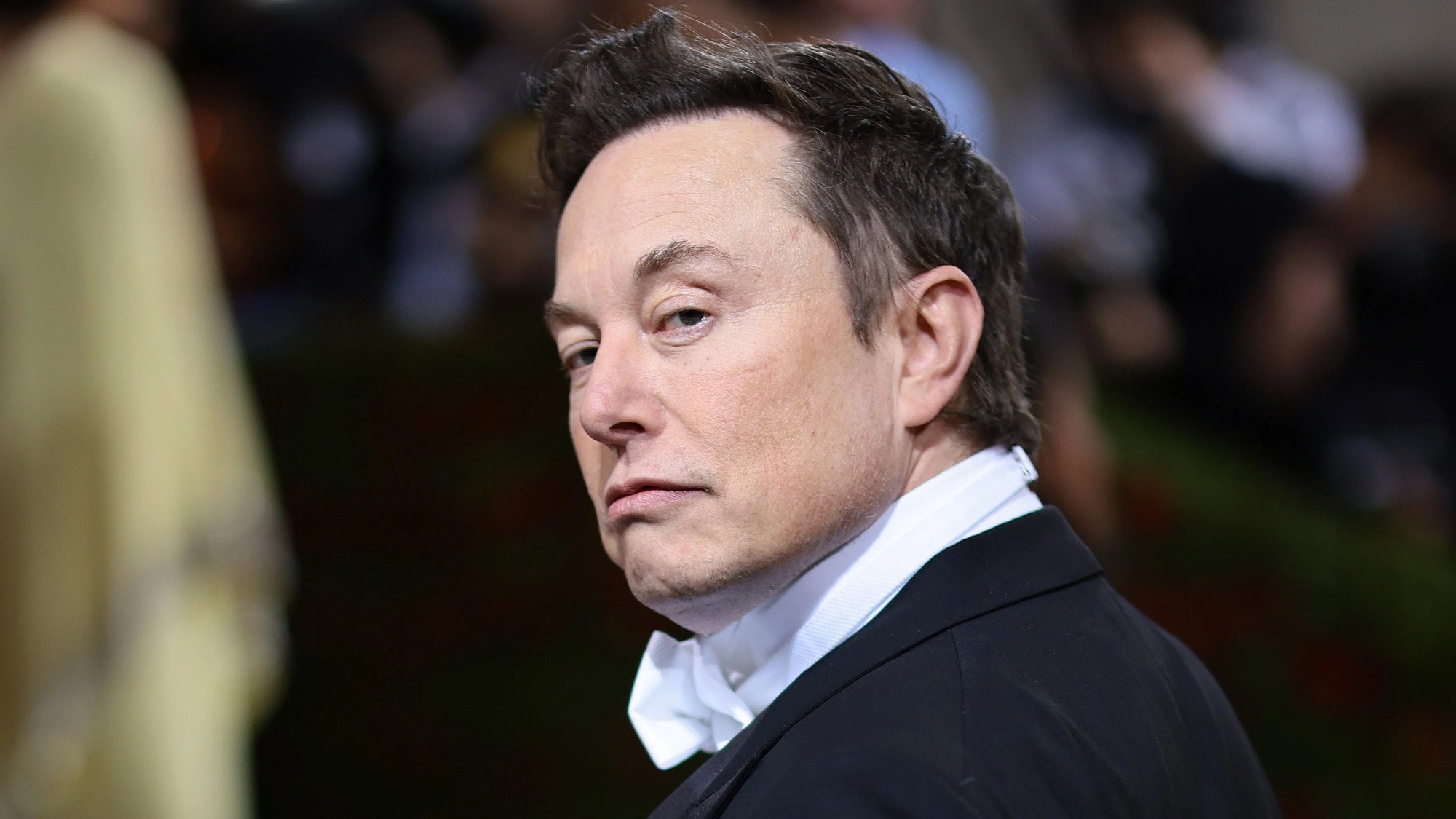 Elon Musk cần kết quả chứ không phải lòng trung thành, vừa sa thải thẳng tay nhân viên ‘chuyên cần’ nhất Twitter - Ảnh 2. Elon Musk cần kết quả chứ không phải lòng trung thành, vừa sa thải thẳng tay nhân viên ‘chuyên cần’ nhất Twitter - Ảnh 2.