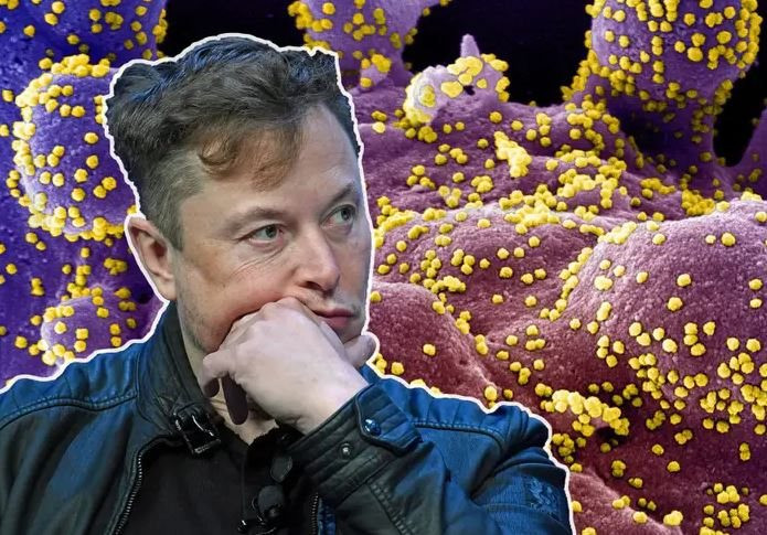 Elon Musk đã bị báo Trung Quốc vì bình luận 'COVID-19 có thể bắt nguồn từ phòng thí nghiệm Vũ Hán'