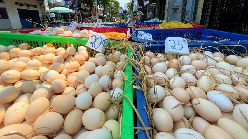 Trứng gà, vịt bán để phơi nắng vỉa hè có làm giảm chất lượng trứng không?