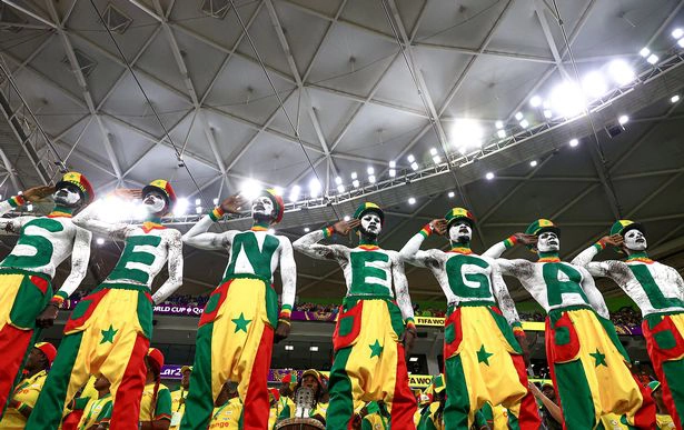 Muôn kiểu thể hiện tình yêu đội bóng của người hâm mộ tại World Cup 2022: Hài hước, cảm xúc và có 1-0-2 - Ảnh 2.