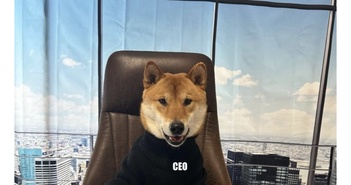 Do dòng tweet của Elon Musk, giá của memecoin lại tăng vọt. Do dòng tweet của Elon Musk, giá của memecoin lại tăng vọt.