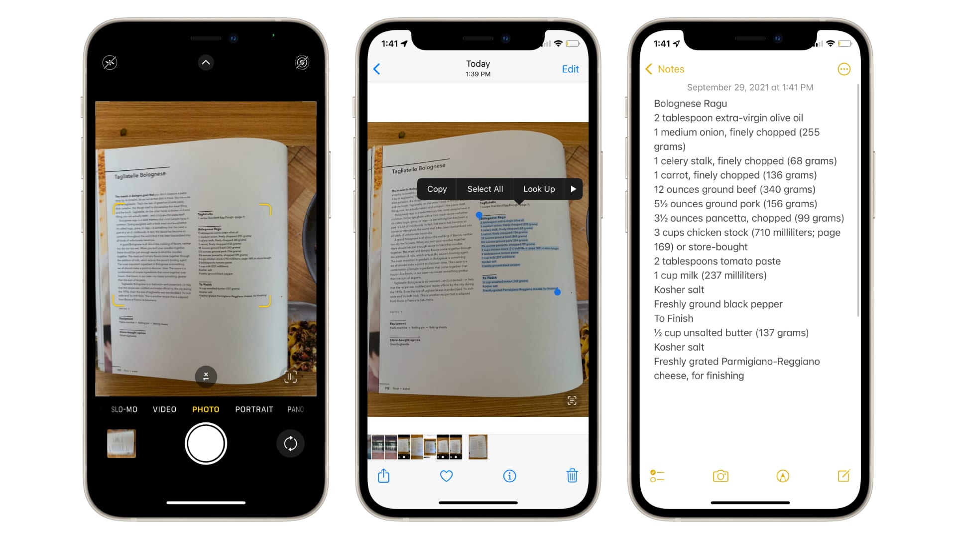 Cách sao chép và dán nội dung văn bản trong ảnh trên iPhone