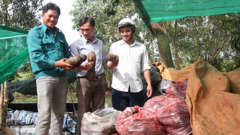 Long An khuyến khích bán nông sản thông qua sàn thương mại điện tử