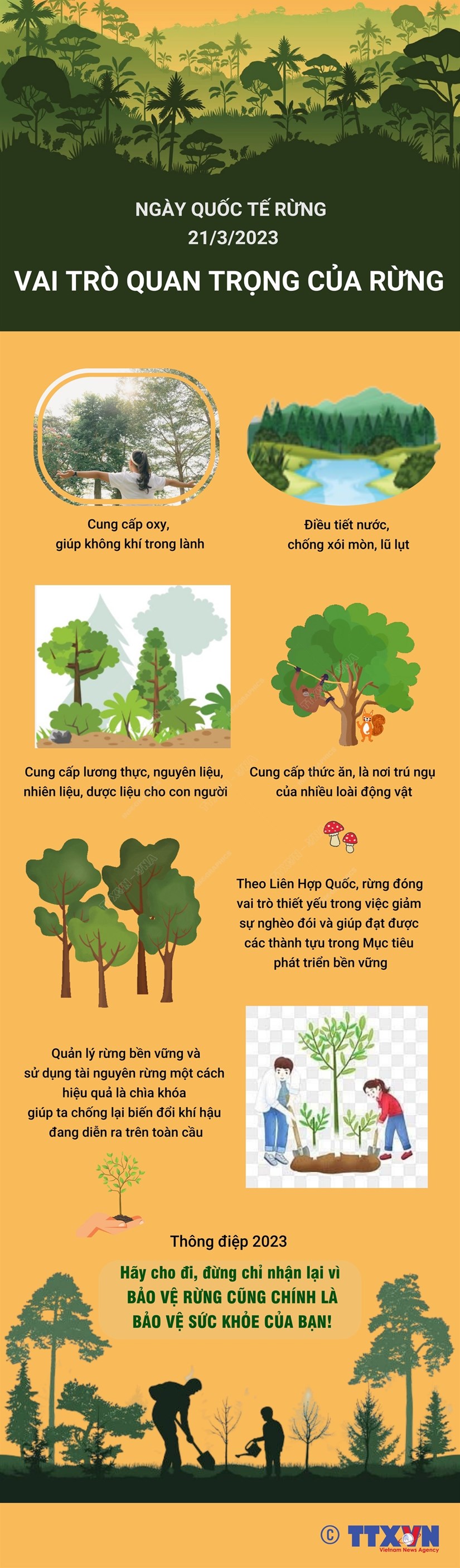 [Infographics] Ngày quốc tế về Rừng năm 2023: "Rừng và Sức"
