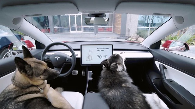 Những tính năng làm nên thành công của xe điện Tesla mà VinFast có thể học hỏi - Ảnh 1. Những tính năng làm nên thành công của xe điện Tesla mà VinFast có thể học hỏi - Ảnh 1.