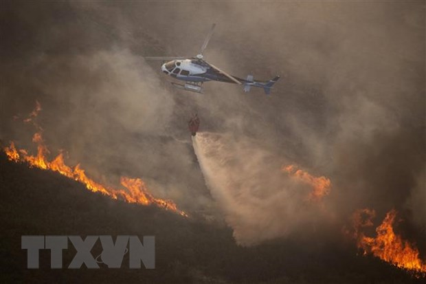 Hơn 1.000 người phải sơ tán do cháy rừng ở Tây Ban Nha