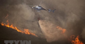 Hơn 1.000 người phải sơ tán do cháy rừng ở Tây Ban Nha