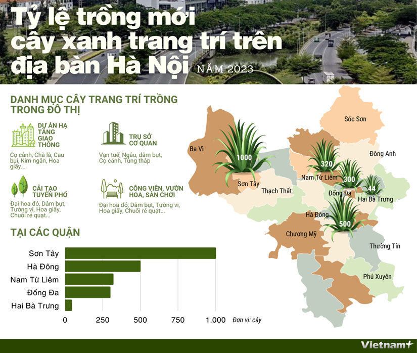 [Infographics] Tỷ lệ trồng mới cây xanh trang trí trên địa bàn Hà Nội