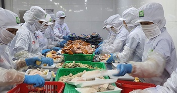 Giảm thuế doanh nghiệp nhỏ: hợp lý Giảm thuế doanh nghiệp nhỏ: hợp lý