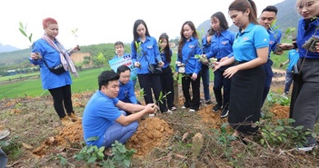 11.000 cây xanh do Thanh niên Thông tấn xã Việt Nam trồng tại Bình 11.000 cây xanh do Thanh niên Thông tấn xã Việt Nam trồng tại Bình