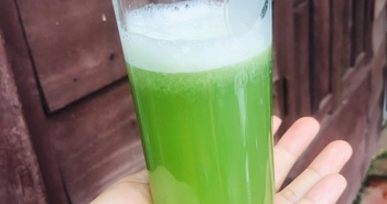 Uống nước ép rau củ tươi có sợ ký sinh trùng? Uống nước ép rau củ tươi có sợ ký sinh trùng?