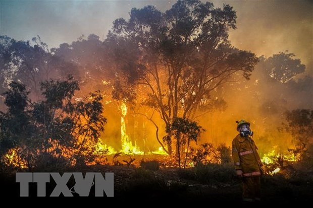 Thái Lan "chạy đua" với thời gian để dập tắt cháy rừng tại Nakhon