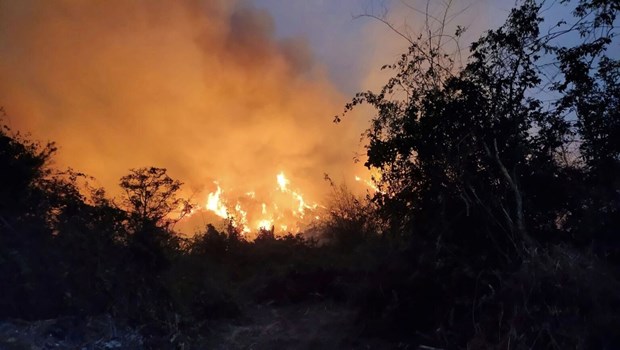 Thái Lan nỗ lực ngăn chặn vụ cháy rừng gần thủ đô Bangkok