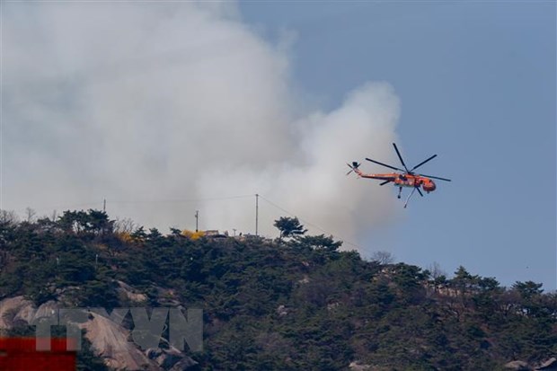 Hàn Quốc cảnh báo nguy cơ cháy rừng lan rộng do hanh khô kéo dài