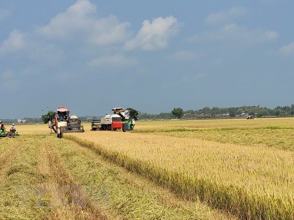 Đảy mạnh ứng dụng khoa học, nâng cao chất lượng gạo xuất khẩu