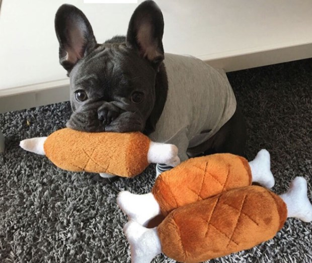 Philippines: Làm thú nhồi bông giống thú cưng thật để làm kỷ vật