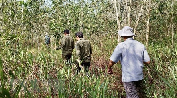 Nguy cơ xảy ra cháy lớn ở tỉnh An Giang và tất cả các loại rừng.
