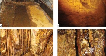 Một mỏ Uranium bị bỏ hoang ở Đức chứa các sinh vật "ngoài hành tinh" được phát hiện.