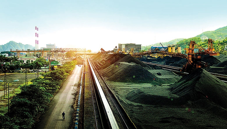 TKV xanh hóa những mảng nâu