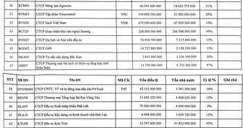 SCIC công bố danh sách bán vốn đợt 1 năm 2023 SCIC công bố danh sách bán vốn đợt 1 năm 2023
