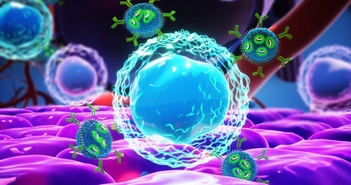 RNA "tấn công" tế bào mang bệnh - Giải pháp đột phá trong điều trị ung thư RNA "tấn công" tế bào mang bệnh - Giải pháp đột phá trong điều trị ung thư