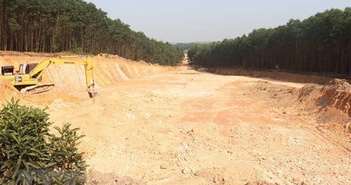 Quảng Trị: Phát hiện vụ đào, lấy đất lâm nghiệp trái phép quy mô lớn Quảng Trị: Phát hiện vụ đào, lấy đất lâm nghiệp trái phép quy mô lớn