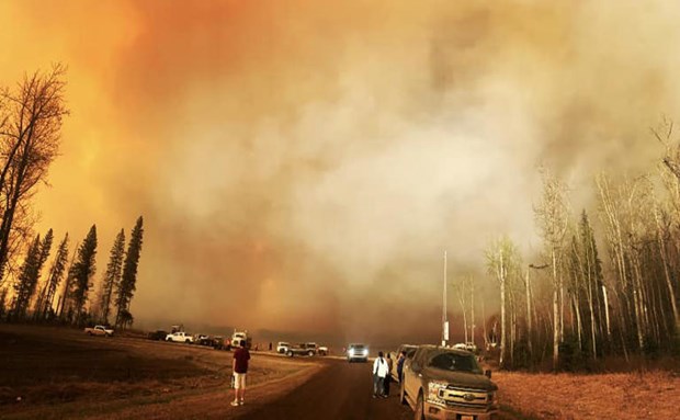 Canada: Cháy rừng nghiêm trọng với 103 đám cháy lớn nhỏ
