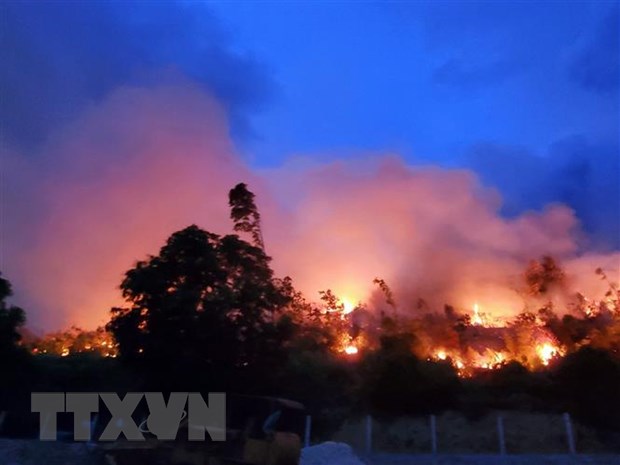Thừa Thiên-Huế: Yêu cầu tạm dừng đốt thực bì để phòng chống cháy rừng