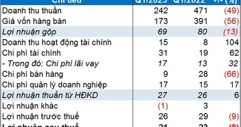 Kết quả lợi nhuận quý 1 năm 2013–2014 của Camimex Group Kết quả lợi nhuận quý 1 năm 2013–2014 của Camimex Group