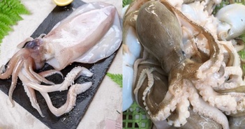 Điểm danh những động vật có trái tim kỳ lạ nhất trên thế giới Điểm danh những động vật có trái tim kỳ lạ nhất trên thế giới