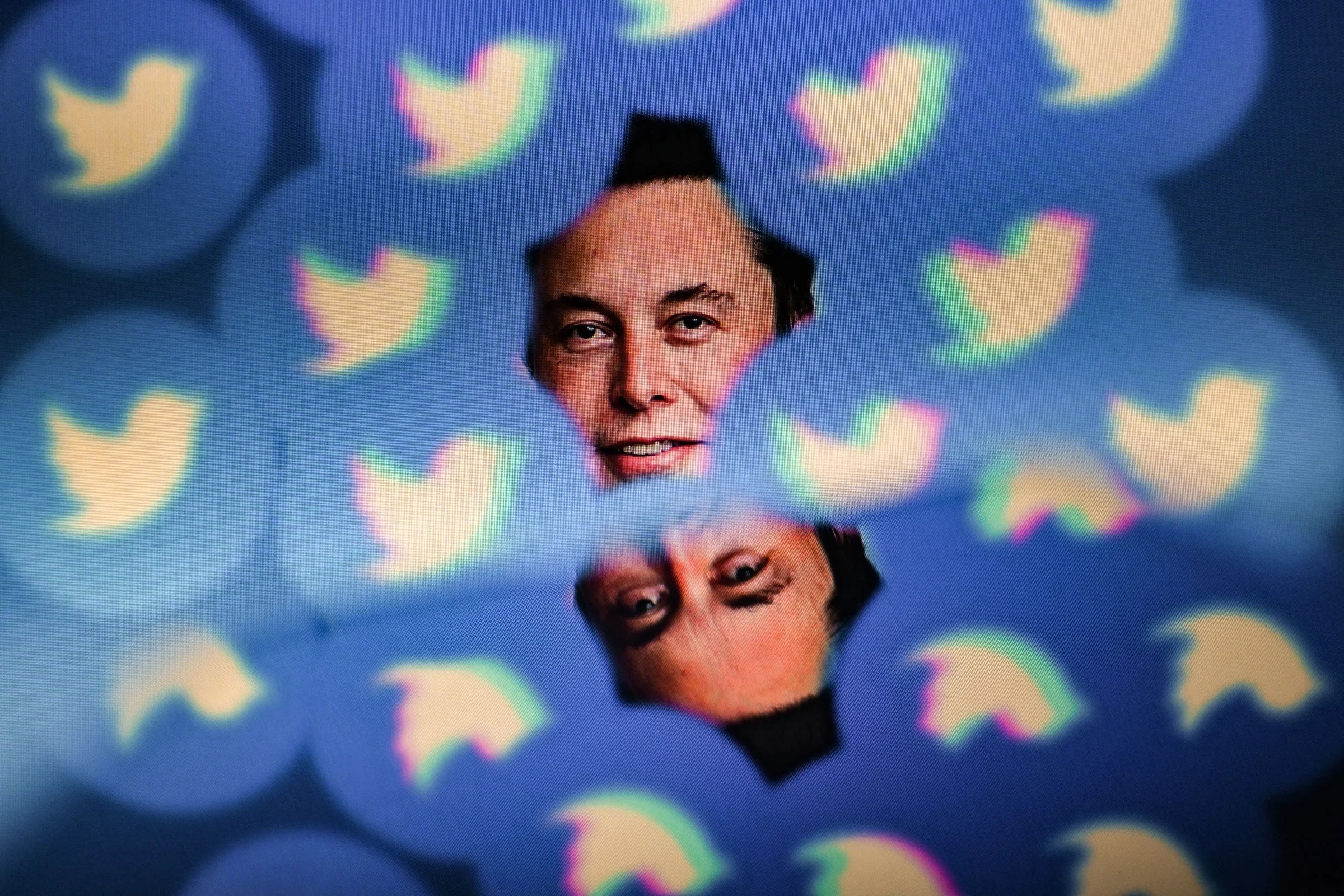 Elon Musk hứa sẽ không khiến người dùng Twitter phải hối hận vì điều này.