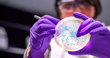 Phát hiện một số loại vi khuẩn có thể phân huỷ nhựa ở nhiệt độ thấp