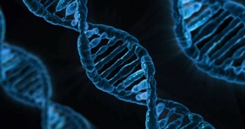 em bé đầu tiên có DNA của 3 người chào đời ở Anh em bé đầu tiên có DNA của 3 người chào đời ở Anh