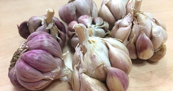 Tỏi nên được đưa vào chế độ ăn uống hàng ngày của bạn vì 10 lý do. Tỏi nên được đưa vào chế độ ăn uống hàng ngày của bạn vì 10 lý do.