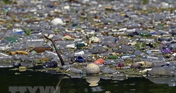 Ở các sông, hồ và biển, có khoảng 19 đến 23 triệu tấn rác thải nhựa đang được lắng đọng.