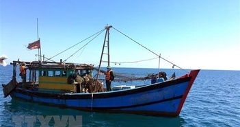 Thừa Thiên-Huế: Tạm giữ tàu cá khai thác giã cào trái phép trong đêm
