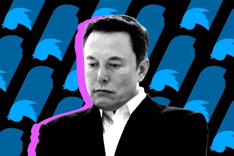 Elon Musk mất ‘cánh tay phải’ tại Twitter