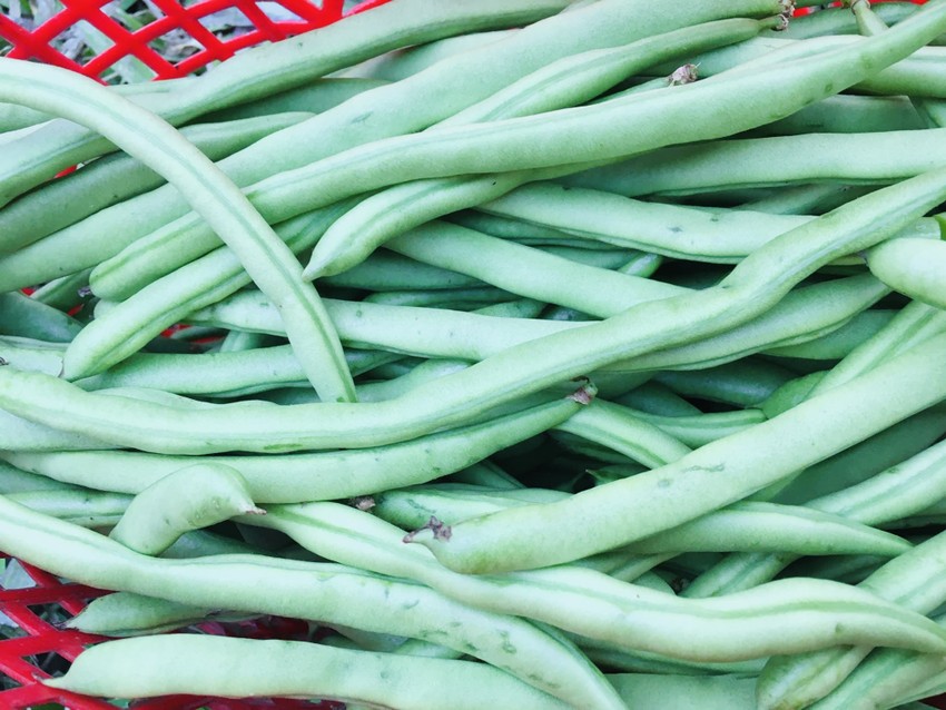 Để giảm lượng đường trong máu và lượng đường trong máu, hãy ăn loại rau này hàng ngày.