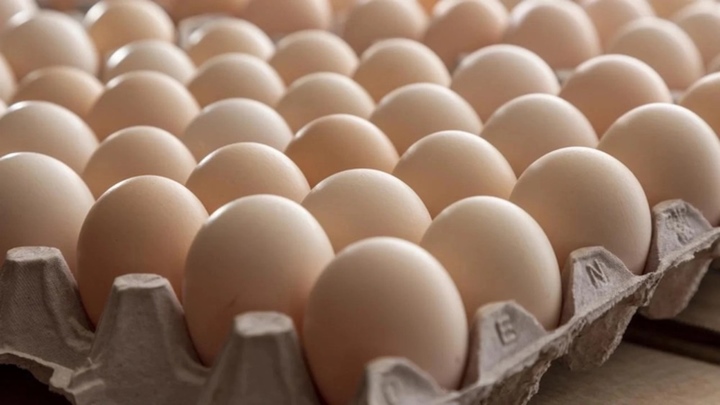 Tại sao các nhà khảo cổ lại sợ "trứng gà" khi khai quật mộ cổ?