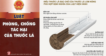 WHO: Thuốc lá điện tử có thể quản lý riêng, thuốc lá làm nóng WHO: Thuốc lá điện tử có thể quản lý riêng, thuốc lá làm nóng