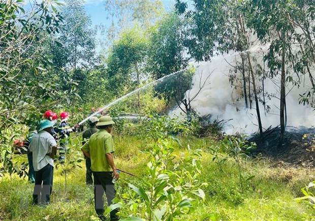 Quảng Ngãi: Cảnh báo nguy cơ cháy rừng ở cấp cực kỳ nguy hiểm